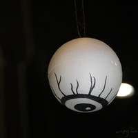 2012.02.11-LG11-106.JPG