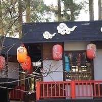 2012.02.11-LG11-127.JPG