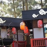 2012.02.11-LG11-128.JPG