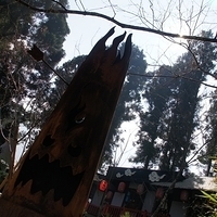 2012.02.11-LG11-130.JPG