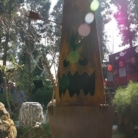 2012.02.11-LG11-131.JPG