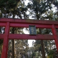 2012.02.11-LG11-135.JPG