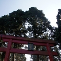 2012.02.11-LG11-136.JPG