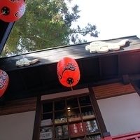 2012.02.11-LG11-153.JPG