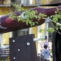 2012.02.11-LG11-202.JPG