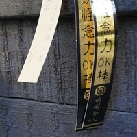 2012.02.11-LG11-206.JPG