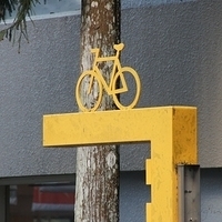 2012.02.11-LG11-213.JPG