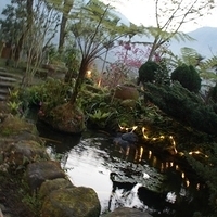 2012.02.11-LG11-280.JPG