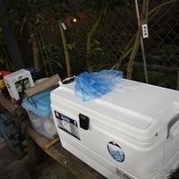 2012.02.11-LG11-300.JPG