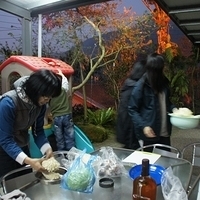 2012.02.11-LG11-307.JPG