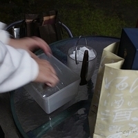 2012.02.11-LG11-336.JPG