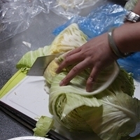 2012.02.11-LG11-349.JPG