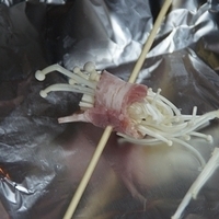 2012.02.11-LG11-362.JPG