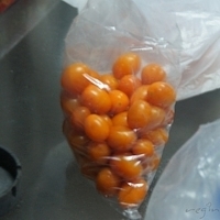 2012.02.11-LG11-365.JPG
