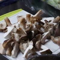 2012.02.11-LG11-370.JPG
