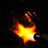 2012.02.11-LG11-371.JPG