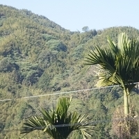 2012.02.12-LG11-001.JPG