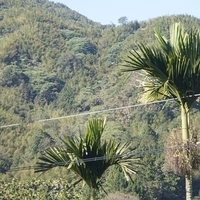 2012.02.12-LG11-002.JPG