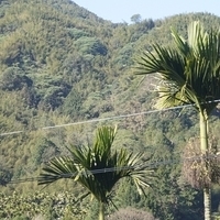 2012.02.12-LG11-003.JPG