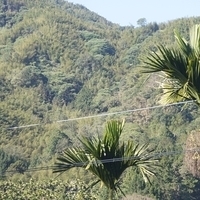 2012.02.12-LG11-004.JPG
