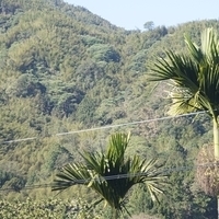 2012.02.12-LG11-005.JPG