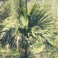 2012.02.12-LG11-006.JPG