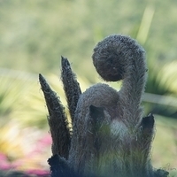 2012.02.12-LG11-007.JPG