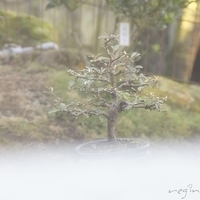 2012.02.12-LG11-008.JPG