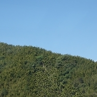 2012.02.12-LG11-010.JPG