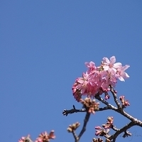 2012.02.12-LG11-013.JPG