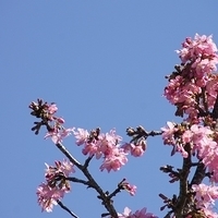 2012.02.12-LG11-014.JPG