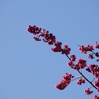 2012.02.12-LG11-015.JPG