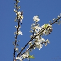 2012.02.12-LG11-016.JPG