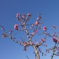 2012.02.12-LG11-018.JPG