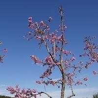 2012.02.12-LG11-019.JPG