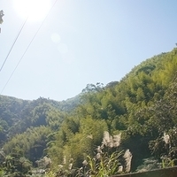 2012.02.12-LG11-040.JPG
