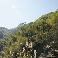 2012.02.12-LG11-041.JPG