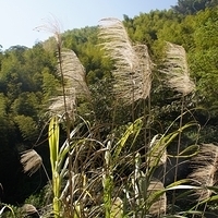 2012.02.12-LG11-042.JPG