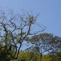 2012.02.12-LG11-049.JPG