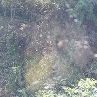 2012.02.12-LG11-050.JPG