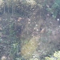 2012.02.12-LG11-051.JPG
