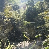 2012.02.12-LG11-053.JPG