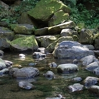 2012.02.12-LG11-057.JPG