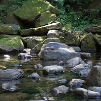 2012.02.12-LG11-058.JPG