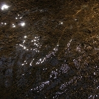 2012.02.12-LG11-061.JPG