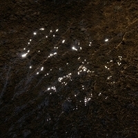 2012.02.12-LG11-062.JPG