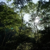 2012.02.12-LG11-105.JPG
