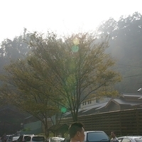 2012.02.12-LG11-125.JPG