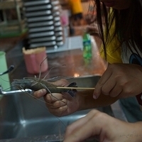 2012.07.15-026.JPG