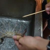 2012.07.15-027.JPG